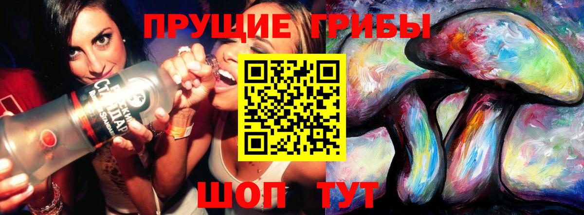 Псилоцибиновые грибы Psilocybine cubensis Озёры