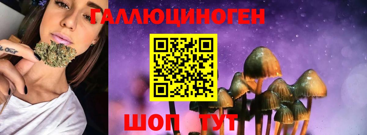 Псилоцибиновые грибы ЛСД  Вход с VPN  Псилоцибиновые грибы MAGIC MUSHROOMS  Озёры 